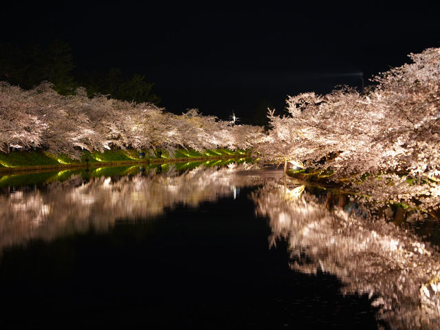 【青森/弘前】しぬまでに見たい弘前城のさくら