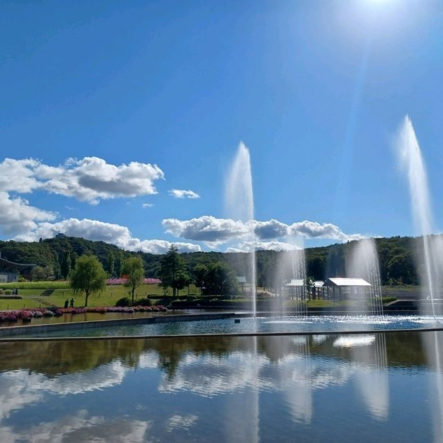 【国営越後丘陵公園:新潟県長岡市】自然溢れる美しい公園🌳