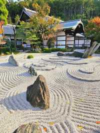 【京都/紅葉スポット】お部屋の中から見る中庭と枯山水が見事なお寺🍂🌾