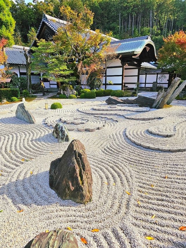 【京都/紅葉スポット】お部屋の中から見る中庭と枯山水が見事なお寺🍂🌾
