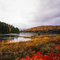 Autumn in Quebec: A Symphony of Colors