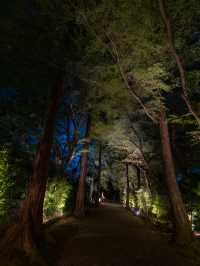 期間限定🦋💙ྀིいまだけ青く照らされるお寺 幻想的な青岸寺🐯♡光明の灯り