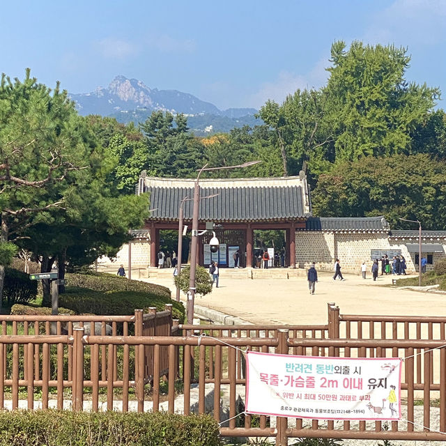 가을의 따뜻함과 이국적인 감성 느낄 수 있는 낭만 가득 보행로, 세운상가🍀