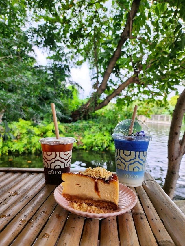 まるでジブリの森？自然カフェ【バンコク】