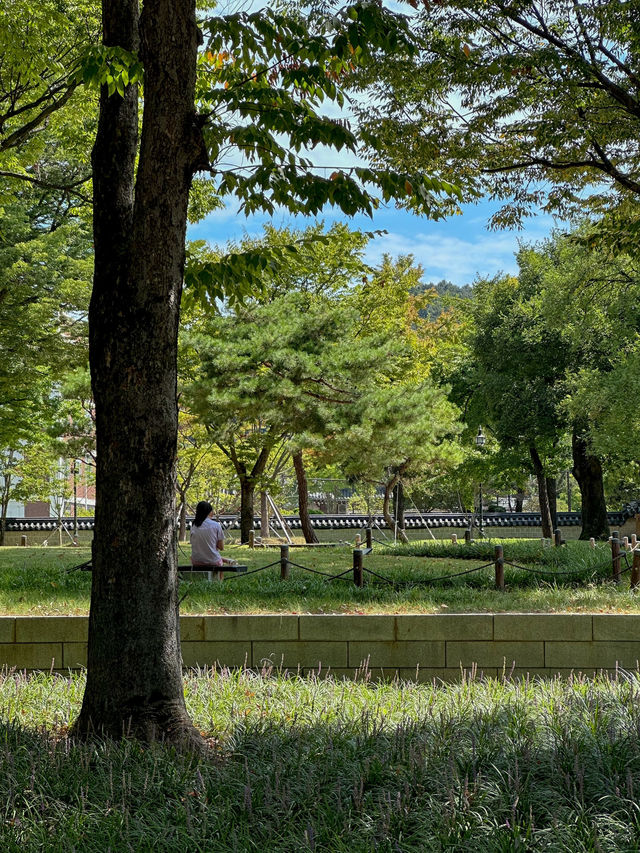 전주, 의외의 포토스팟 <경기전>