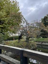 【佐久市】1800年代に築かれた城塞の跡🏯