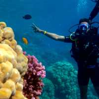 Egypt Review: Unveiling Ancient Mysteries