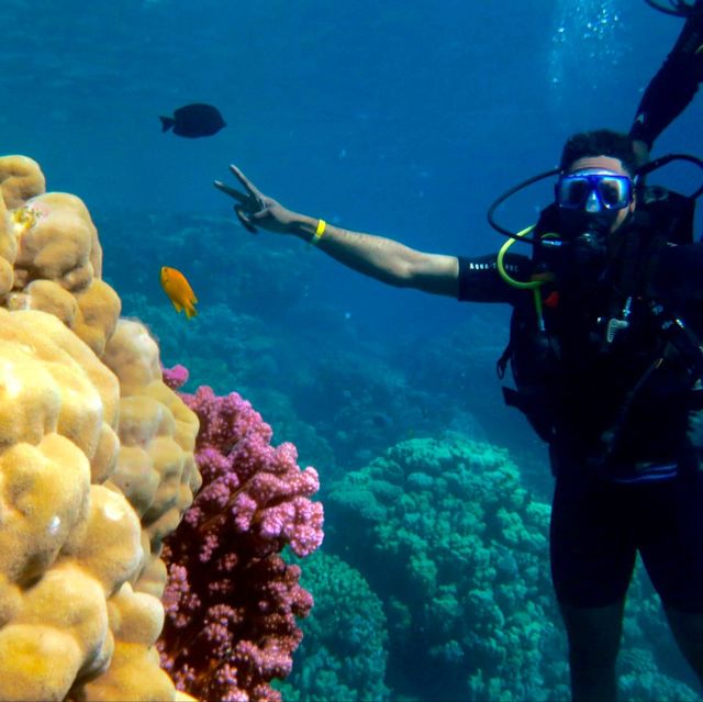 Egypt Review: Unveiling Ancient Mysteries