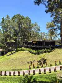 Glamping with Fantastic view of Toba Lake 