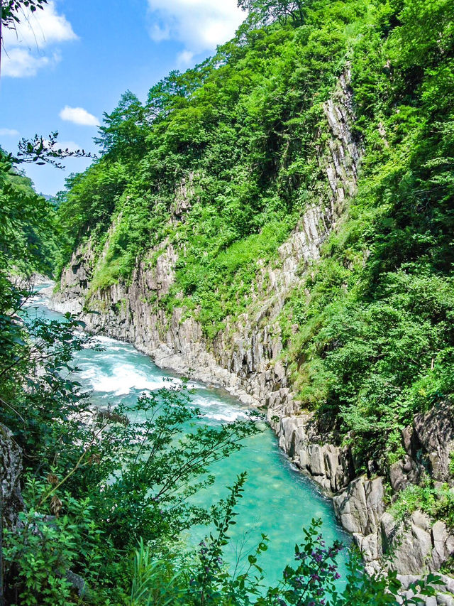 【新潟🇯🇵】大自然をバックに素敵な写真を撮ろう！