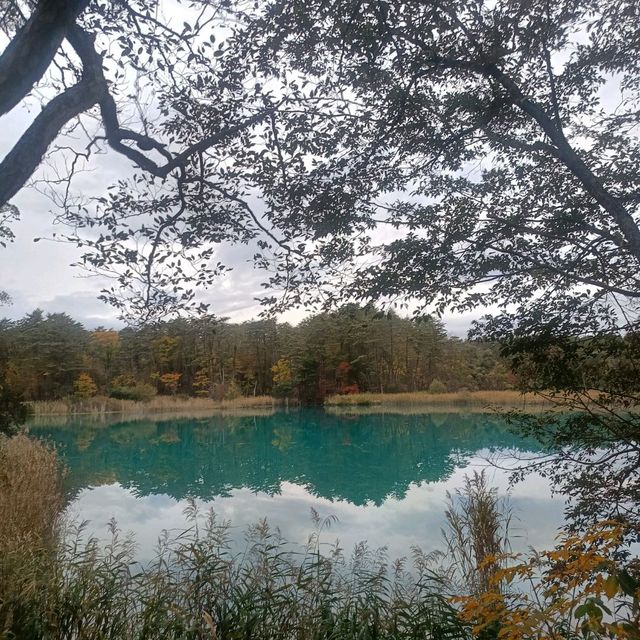 日本/東北/日本九寨溝~五色沼 賞楓的好地方~風景很美
