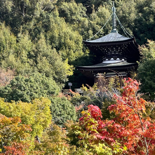 住吉大社：秋色中的神聖與靜謐 🍁