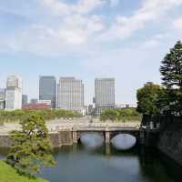 東京景點｜暢遊東京都心的綠洲—皇居外苑．千鳥之淵