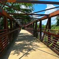 LADY BIRD LAKE HIKE AND BIKE TRAIL.