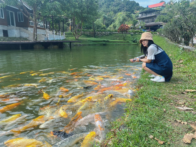 เหมืองปิล็อก - อ.ทองผาภูมิ กาญจนบุรี