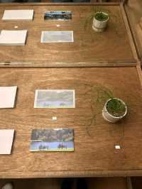 ๐์์ธ ์ก์ ๋ ํ์ธ ํ์ฐ์ค hearts