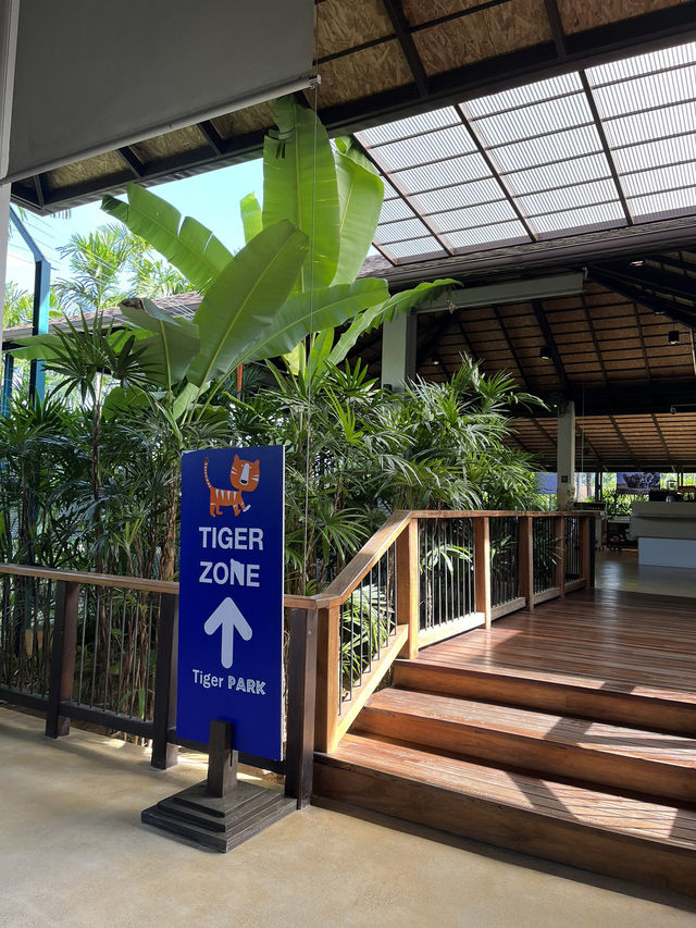 【タイ･プーケット🇹🇭】スリル満点💯トラと写真が撮れるスポット！🐯