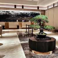 Modern Comfort Meets Heritage: My Stay at Hilton Hiroshima
