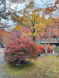 【湯布院】感動！亀の井別荘の素晴らしい紅葉✨