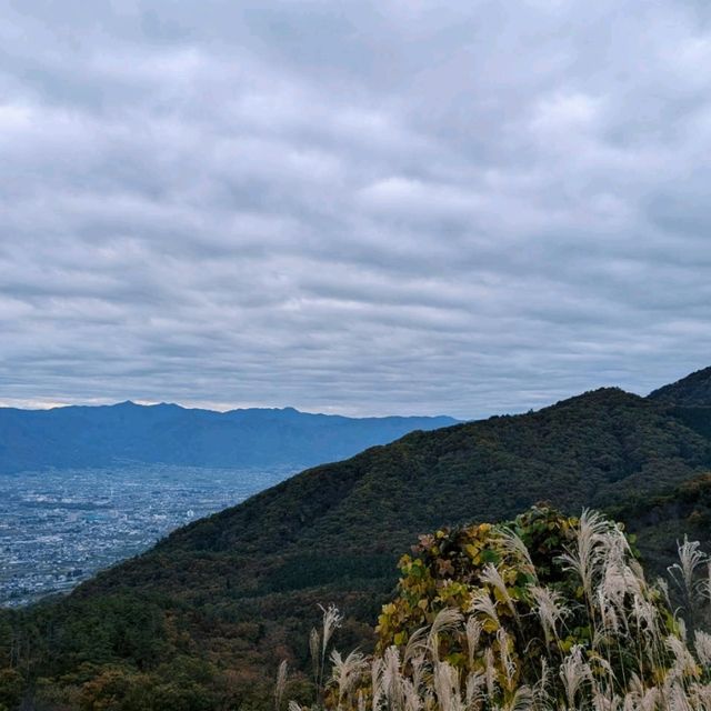 ほったらかしキャンプ場