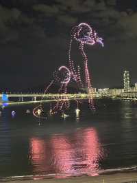 🇰🇷搭遊艇賞「廣安大橋」浪漫夜景及無人機煙火