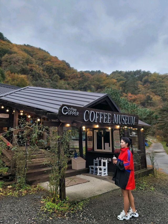 가을풍경이 아름다웠던 대관령 강릉카페🍁