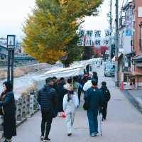 Miyagawa Morning Market