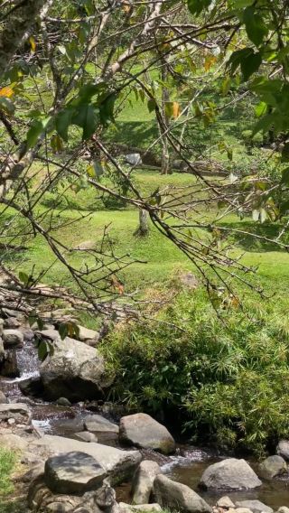 Reconnect with Nature at Cibodas