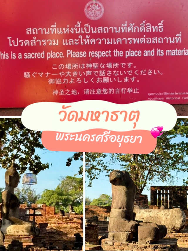 อเมซิ่ง ไทยแลนด์ 🙏 ณ วัดมหาธาตุ อยุธยา