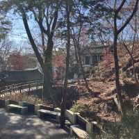 서울 한복판의 고즈넉한 사찰, 길상사