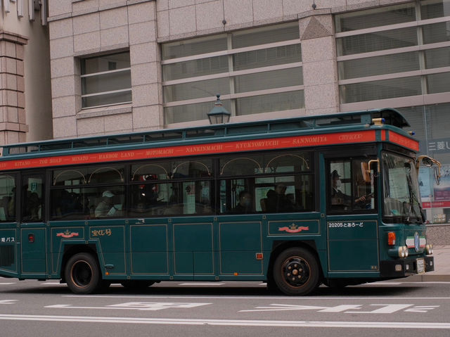 ここは日本？！美しい街並み神戸を回ろう💡