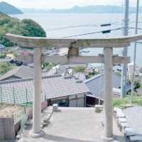 日本香川男木島｜沒想到四國也有貓島！