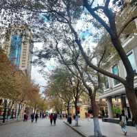 ถนน Shopping สุดโรแมนติก @ ถนนจงหยาง เมือง Harbin