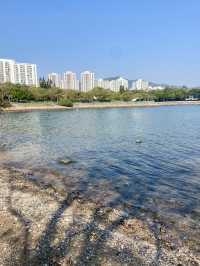 🧘🏻🛀讓人有種說不出寫意「元洲仔公園」🏞️🌸