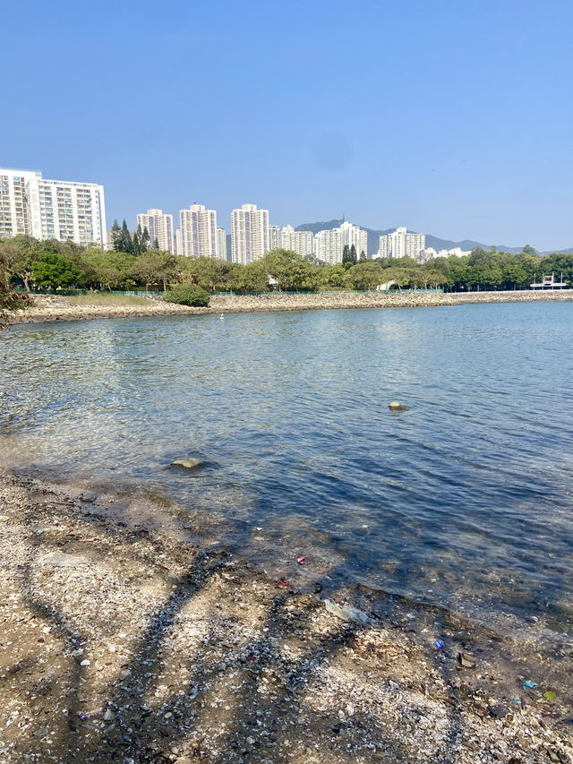 🧘🏻🛀讓人有種說不出寫意「元洲仔公園」🏞️🌸