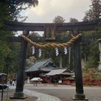 Exploring the Grandeur of Nikko Toshogu Shrine