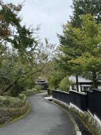 Miyama Sansou: A Hidden Sanctuary in Kurokawa Onsen 