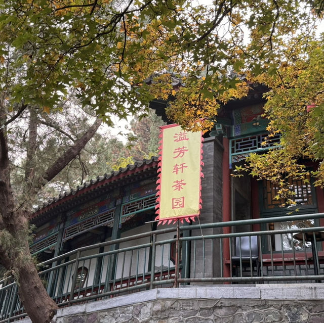 秋日的香山：风景如画，红叶如诗
