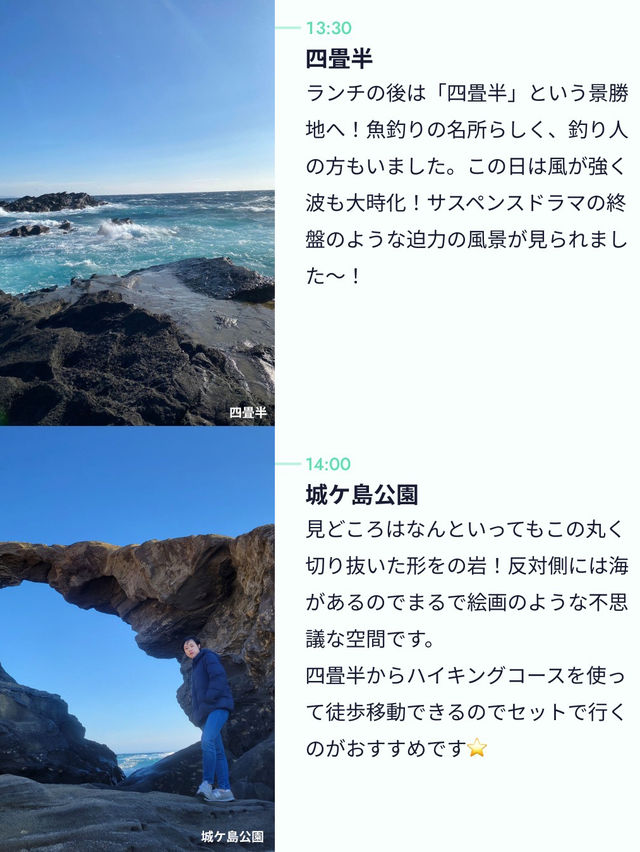 【三崎まぐろ切符で楽々旅🐟✨】 