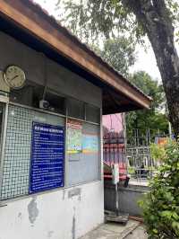 มาเดินเล่น Museum of Ho chi minh city 