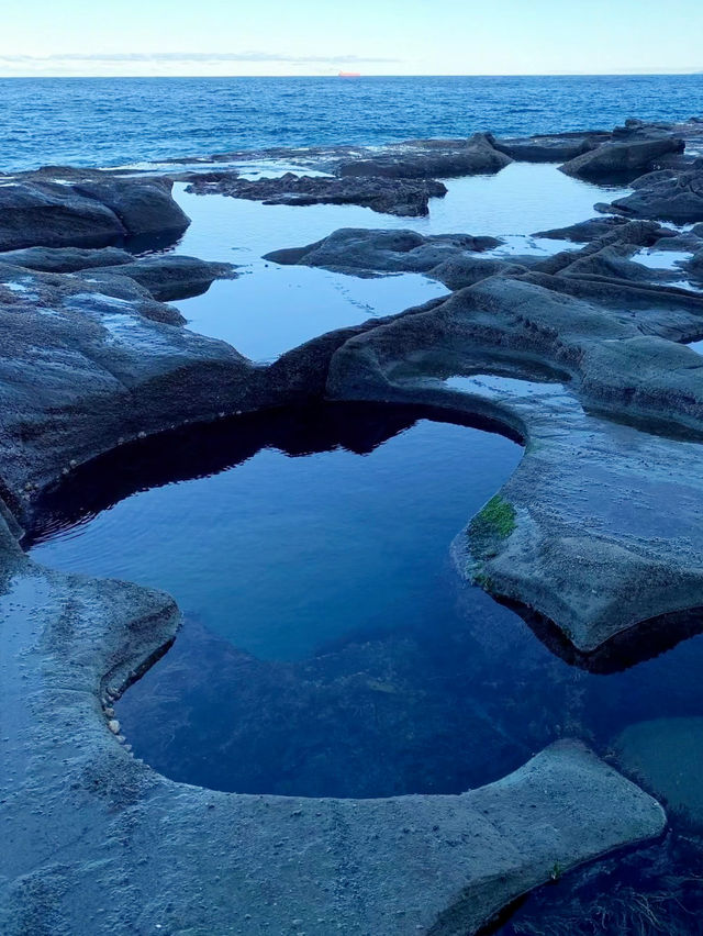 Coastal Bliss and Bushland Beauty: My Adventure in Royal National Park