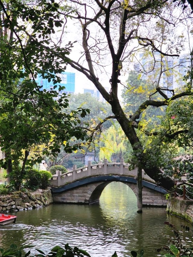✨Autumn in People's park✨