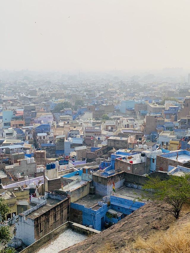 Pachetia Hill - Jodhpur City Viewpoint Hike 💙🦋