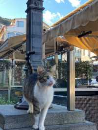 Old Tbilisi: A Step Back in Time