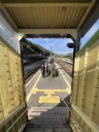 【長野】レトロな駅舎🚉沿線に梅が咲き誇る駅