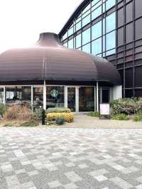 岐阜に来たらここ！スタバのある日本一美しい図書館
