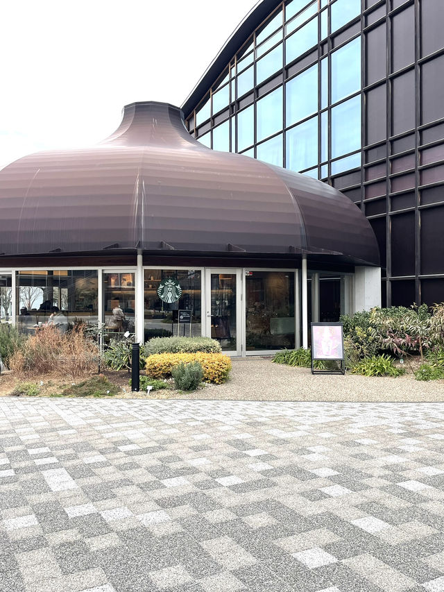 岐阜に来たらここ！スタバのある日本一美しい図書館