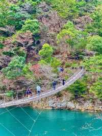 【静岡県】世界が認めた‼️秘境にある絶景吊り橋✨