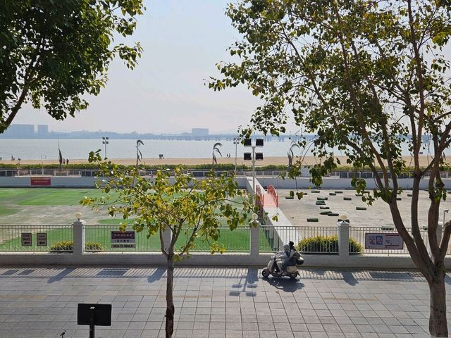 尋找集大美麗的集美學村