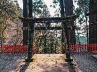 【愛知】徳川家康ゆかりの神社⛩️ 鳳来山東照宮